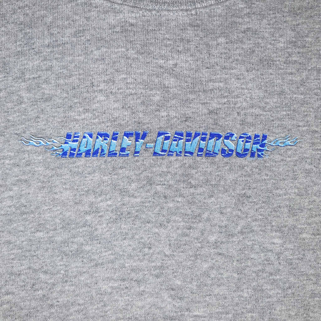 Vintage Harley-Davidson Youth XL Gray Crewneck Sweatshirt Y2K De-Lux