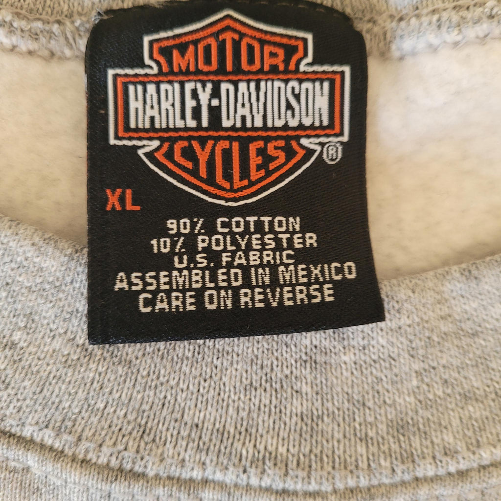 Vintage Harley-Davidson Youth XL Gray Crewneck Sweatshirt Y2K De-Lux